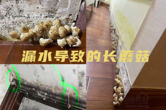 衛(wèi)生間漏水維修必看的防水知識(shí)科普！